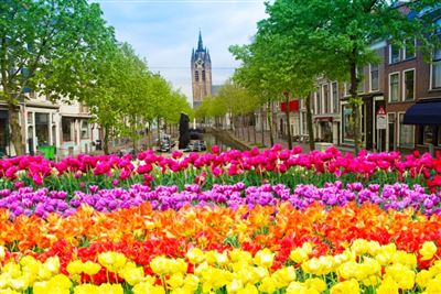 Altstadt im Frühling